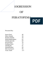 Progression of FERA To FEMA