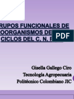 Grupos Funcionales de Microorganismos Del Suelo