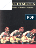 Book Al Di Meola Music Words Pictures Guitar Bass