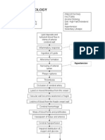 Stroke Pathophysiology