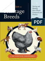 Sneak Peek: An Introduction To Heritage Breeds