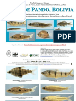 Guia de Peces (Fish Guide), Pando