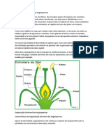 Organização Estrutural Das Angiospermas