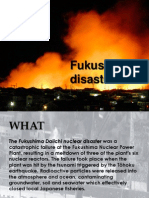 Fukushima Disaster