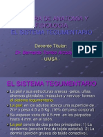 Sistema Tegumentario