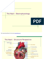 Cardiac Electrophysiology