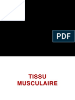 Les Tissus Musculaires