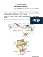 Sistema de Frenos