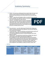 Shoulder Anatomy Summary