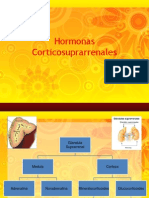 Hormonas Corticosuprarrenales