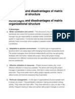 Advantages and Disadvantages of Matrix Organizational Structure