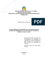 Caracterização Amido Mandioca PDF