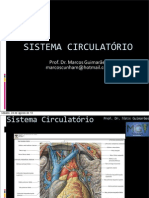 Sistema Circulatorio Estetica