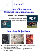 Overview of The Nervous System & Neurotransmission: Assoc. Prof Peter Shortland