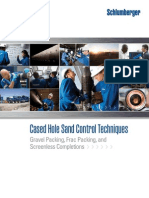 Cased Hole Sand Control Techniques BR PDF