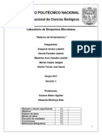 Balance de Fermentación.