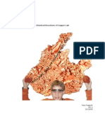 Chemical Reactions of Copper Lab