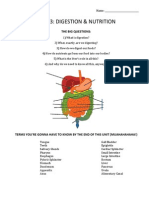 g12 Bio Digestion Student Notes