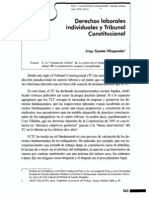 Derechos Fundamentales Laborales - Toyama