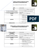 Ficha de Trabajo de Ferran Adric3a1 C3a9lc3a8ves