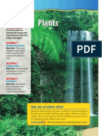 030 Plants Text Book Chapter