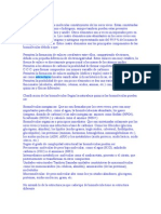 Las Biomoléculas Son Las Moléculas Constituyentes de Los Seres Vivos