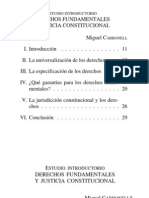 Rolla Giancarlo, Derechos Fundamentales, Estado Democrático y Justicia Constitucional 2