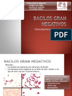 Bacilos Gram Negativos