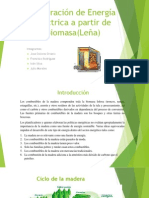 Generación de Energía Eléctrica A Partir de Biomasa (Leña