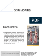 Rigor Mortis