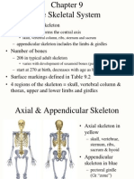 9 Skeletal System