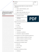 Test Caracteristicas de Las Plantas 5º Primaria