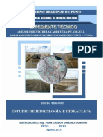 Estudio Hidrologico Hidraulico y Obras de Arte - Carretera Juli-Sorapa