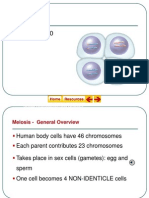 Meiosis