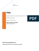 Falls Guidance