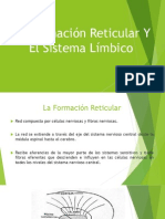 La Formación Reticular Y El Sistema Límbico