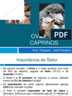 Ovinos e Caprinos