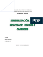 Sensibilización A La Seguridad Higiene y Ambiente