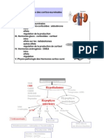 Physio Cortico Surrénales
