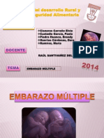 Embarazo Multiple