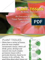 Plant Tissues