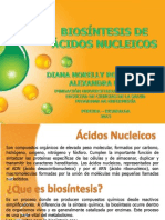 Biosintesis Acidos