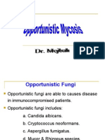 Opportunistic Mycosis