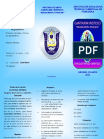 Folleto de Cantarin Insteco 2013