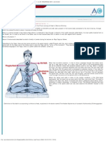 Marma Chiktsa - Introduction Chapter - 1 (Presentation No - 4) by Dr. Ranga