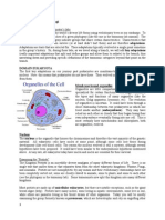 Lab 09 Protists and Fungi