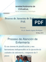 Proceso de Atención de Enfermería HMI