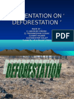 Presentation On Deforestation