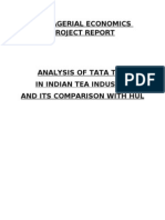 Managerial Economics Project Report