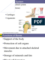 Skeletal System